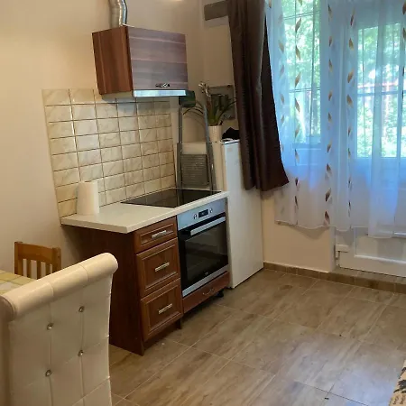 Roland Apartmant Zuglo 公寓 *