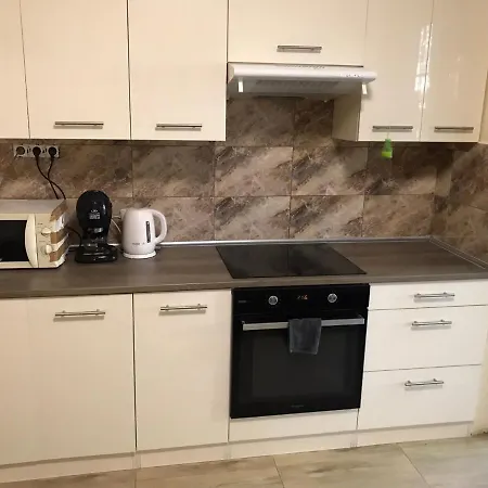 公寓 Roland Apartmant Zuglo *